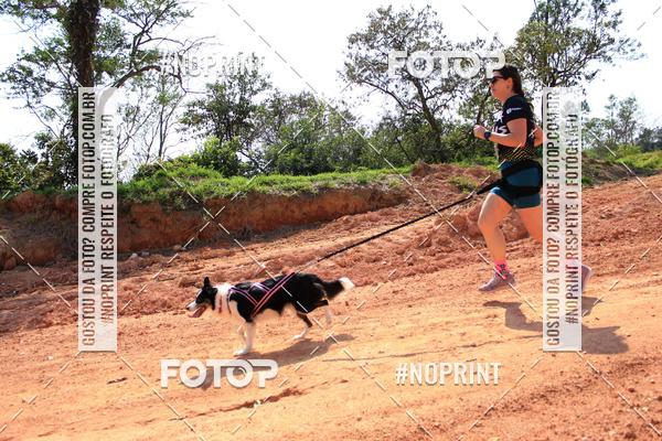 Compre as suas fotos do eventoTreino Premiado de Canicross no Fotop