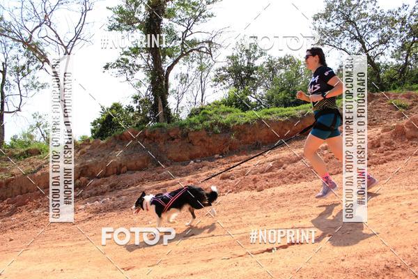 Compre as suas fotos do eventoTreino Premiado de Canicross no Fotop