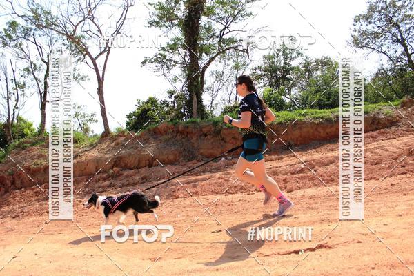 Compre as suas fotos do eventoTreino Premiado de Canicross no Fotop