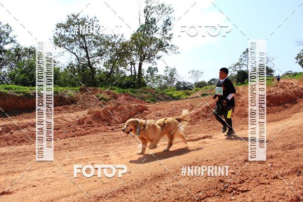 Compre as suas fotos do eventoTreino Premiado de Canicross no Fotop