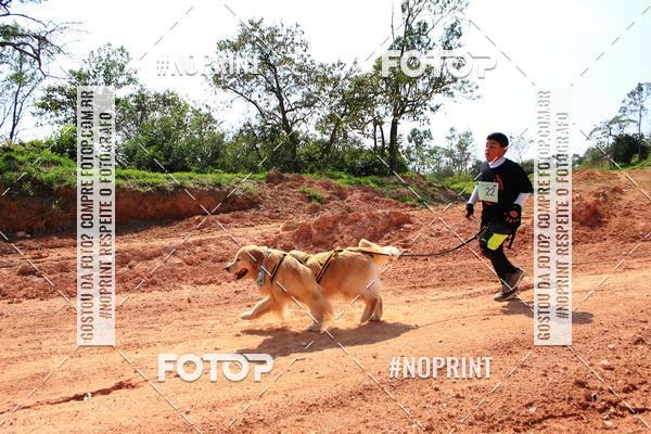 Compre as suas fotos do eventoTreino Premiado de Canicross no Fotop