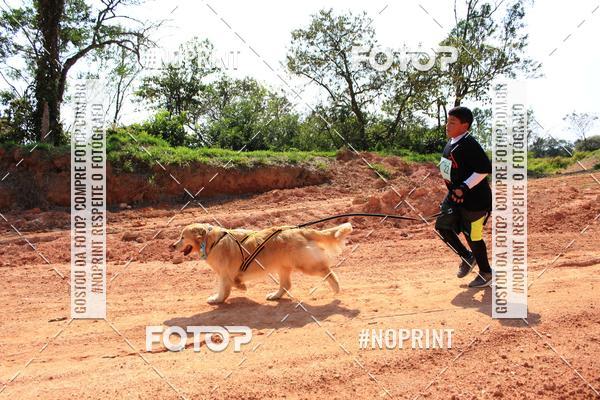 Compre as suas fotos do eventoTreino Premiado de Canicross no Fotop