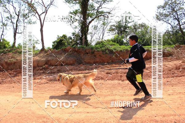 Compre as suas fotos do eventoTreino Premiado de Canicross no Fotop