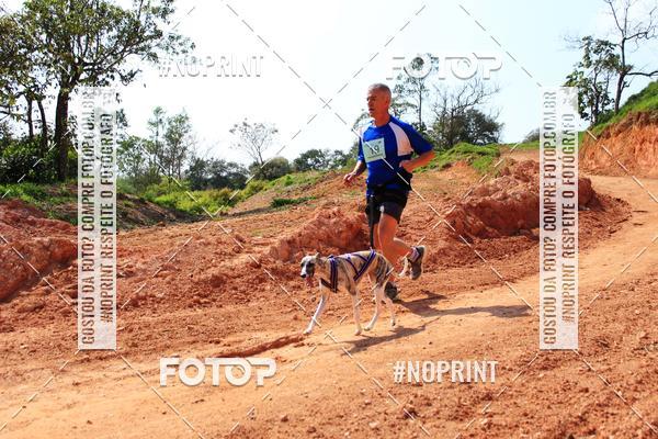 Compre as suas fotos do eventoTreino Premiado de Canicross no Fotop