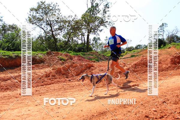 Compre as suas fotos do eventoTreino Premiado de Canicross no Fotop