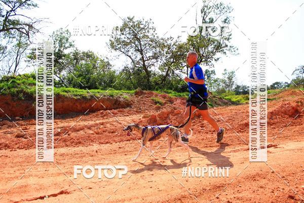 Compre as suas fotos do eventoTreino Premiado de Canicross no Fotop