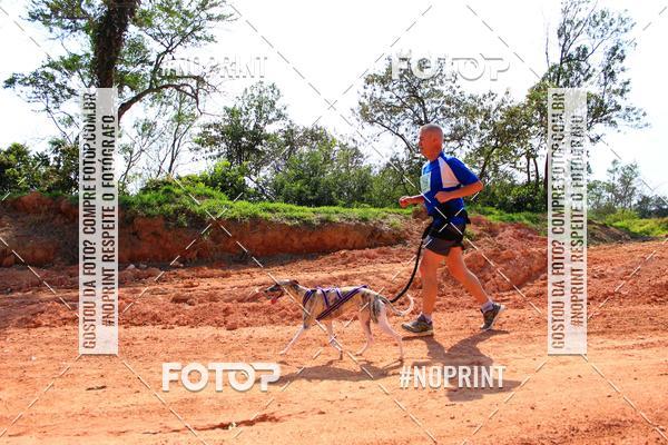 Compra tus fotos del eventoTreino Premiado de Canicross En Fotop