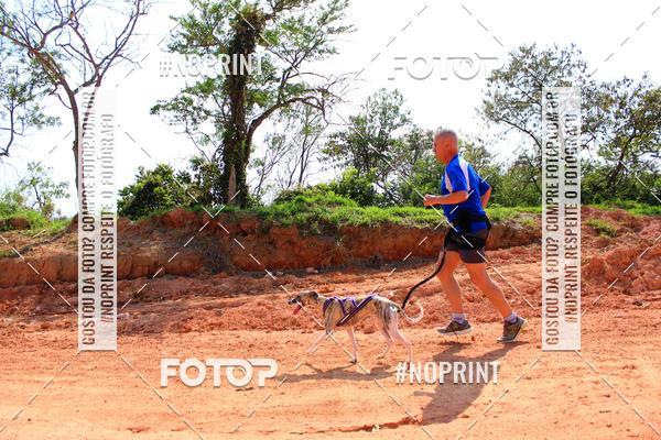 Compra tus fotos del eventoTreino Premiado de Canicross En Fotop