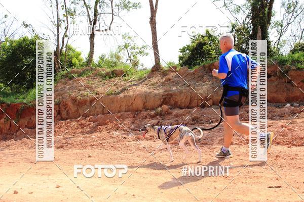 Compra tus fotos del eventoTreino Premiado de Canicross En Fotop