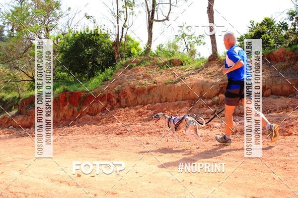 Compra tus fotos del eventoTreino Premiado de Canicross En Fotop