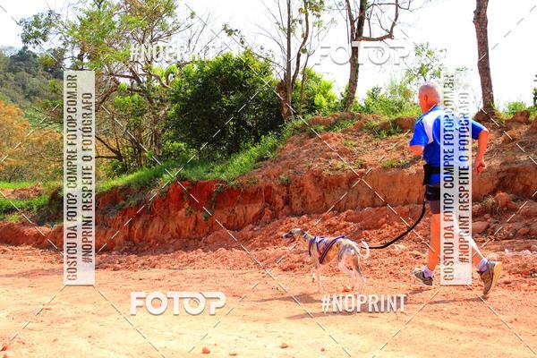 Compra tus fotos del eventoTreino Premiado de Canicross En Fotop