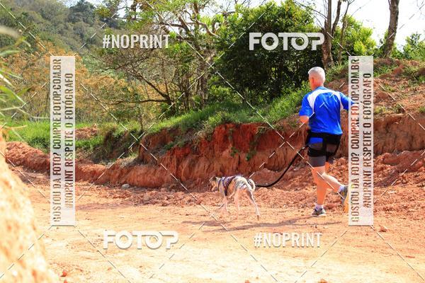 Compra tus fotos del eventoTreino Premiado de Canicross En Fotop