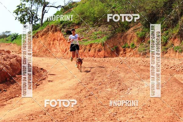 Compra tus fotos del eventoTreino Premiado de Canicross En Fotop