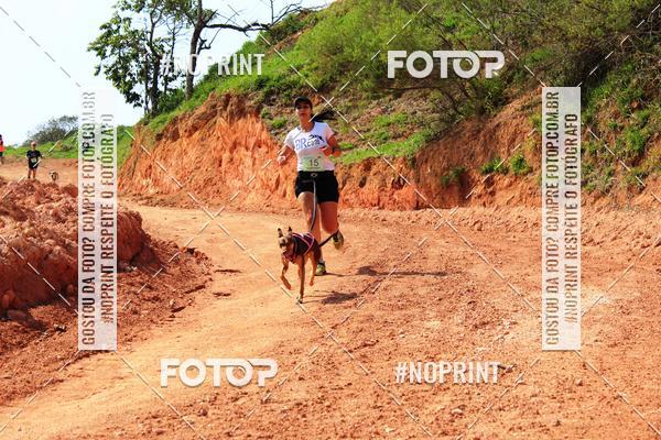 Compra tus fotos del eventoTreino Premiado de Canicross En Fotop