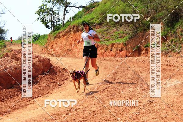 Compra tus fotos del eventoTreino Premiado de Canicross En Fotop