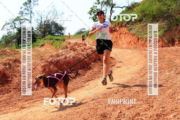 Compra tus fotos del eventoTreino Premiado de Canicross En Fotop