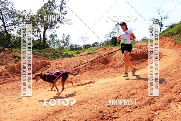 Compra tus fotos del eventoTreino Premiado de Canicross En Fotop