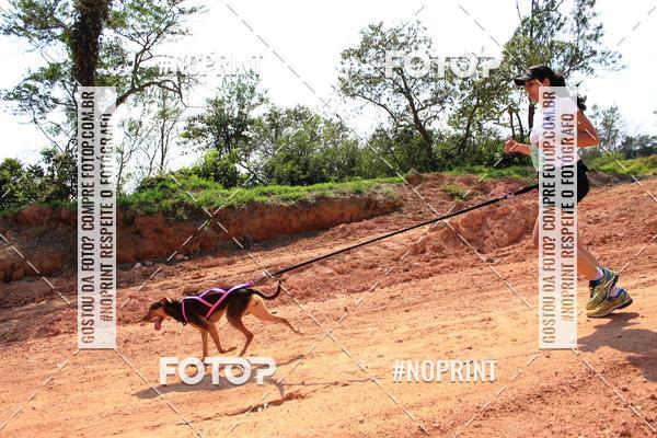 Compra tus fotos del eventoTreino Premiado de Canicross En Fotop