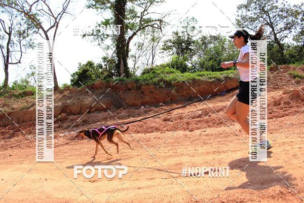 Compra tus fotos del eventoTreino Premiado de Canicross En Fotop