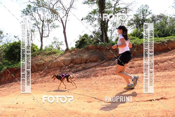 Compra tus fotos del eventoTreino Premiado de Canicross En Fotop