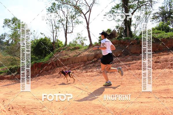 Compra tus fotos del eventoTreino Premiado de Canicross En Fotop