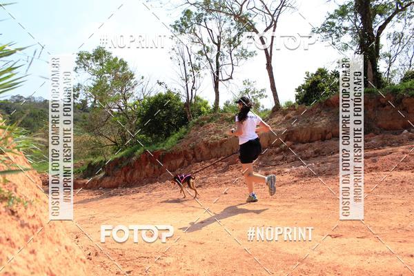 Compra tus fotos del eventoTreino Premiado de Canicross En Fotop