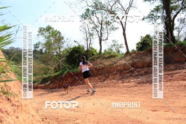 Compra tus fotos del eventoTreino Premiado de Canicross En Fotop