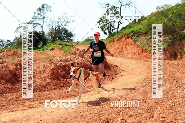 Compra tus fotos del eventoTreino Premiado de Canicross En Fotop