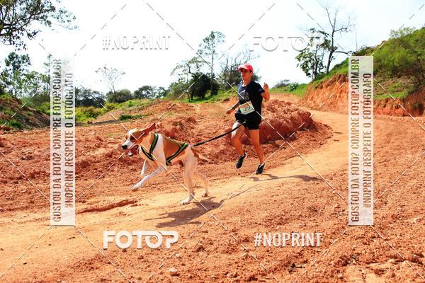 Compra tus fotos del eventoTreino Premiado de Canicross En Fotop