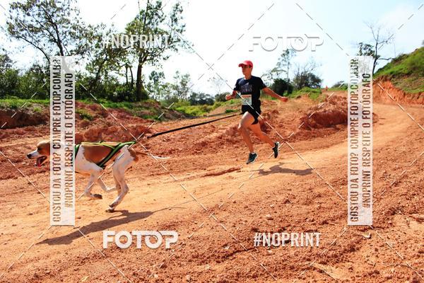 Compra tus fotos del eventoTreino Premiado de Canicross En Fotop