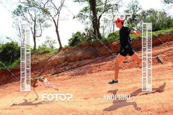 Compra tus fotos del eventoTreino Premiado de Canicross En Fotop