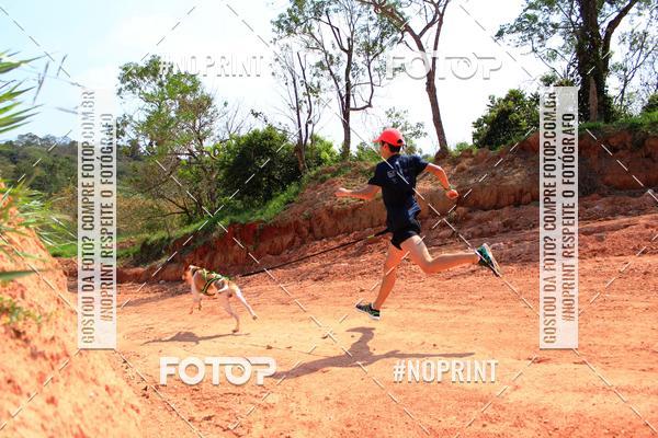 Compra tus fotos del eventoTreino Premiado de Canicross En Fotop