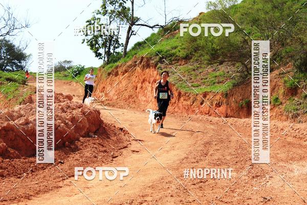 Compra tus fotos del eventoTreino Premiado de Canicross En Fotop