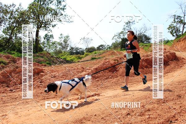 Compra tus fotos del eventoTreino Premiado de Canicross En Fotop