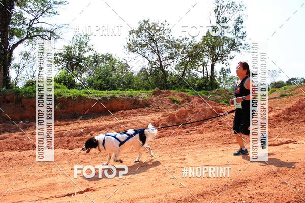 Compra tus fotos del eventoTreino Premiado de Canicross En Fotop