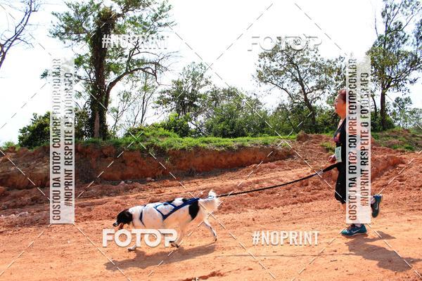 Compra tus fotos del eventoTreino Premiado de Canicross En Fotop