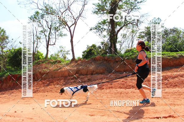 Compra tus fotos del eventoTreino Premiado de Canicross En Fotop