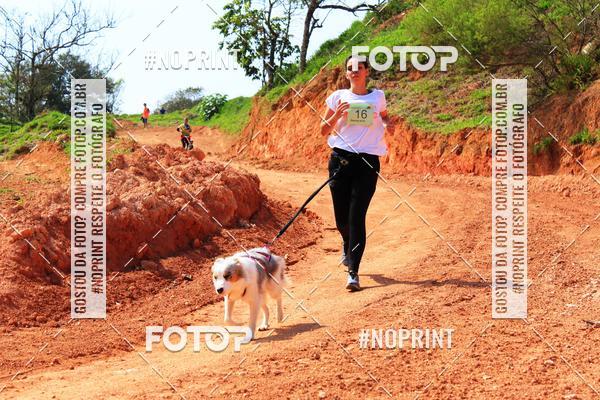 Compra tus fotos del eventoTreino Premiado de Canicross En Fotop