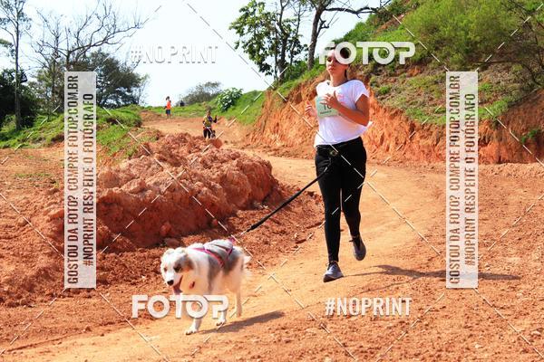 Compra tus fotos del eventoTreino Premiado de Canicross En Fotop