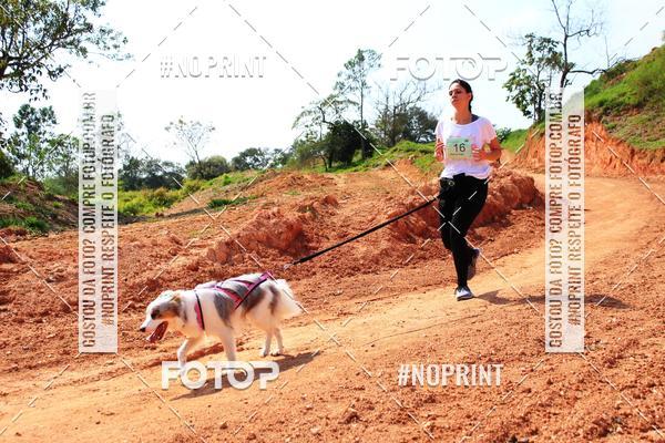 Compra tus fotos del eventoTreino Premiado de Canicross En Fotop