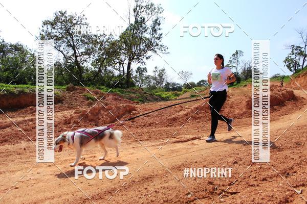 Compra tus fotos del eventoTreino Premiado de Canicross En Fotop