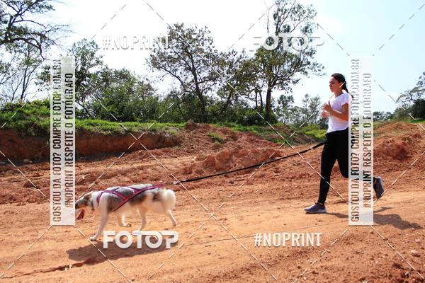 Compra tus fotos del eventoTreino Premiado de Canicross En Fotop