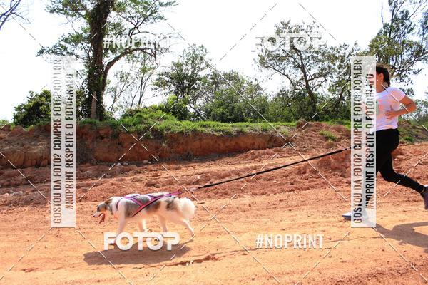 Compra tus fotos del eventoTreino Premiado de Canicross En Fotop