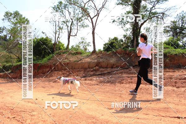 Compra tus fotos del eventoTreino Premiado de Canicross En Fotop