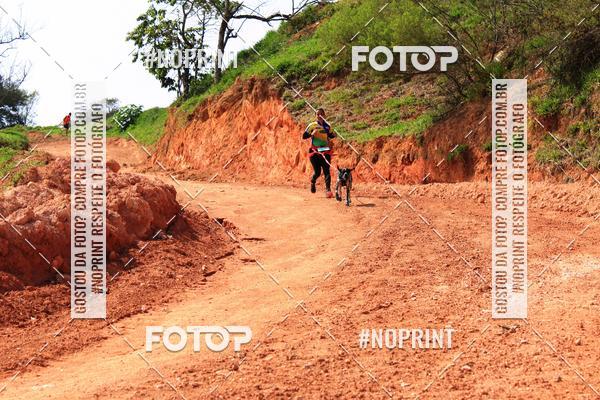 Compra tus fotos del eventoTreino Premiado de Canicross En Fotop