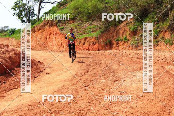 Compra tus fotos del eventoTreino Premiado de Canicross En Fotop