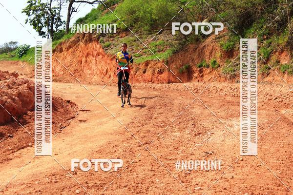 Compra tus fotos del eventoTreino Premiado de Canicross En Fotop