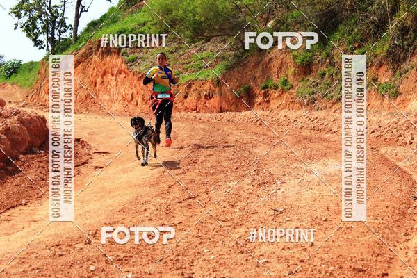 Compra tus fotos del eventoTreino Premiado de Canicross En Fotop