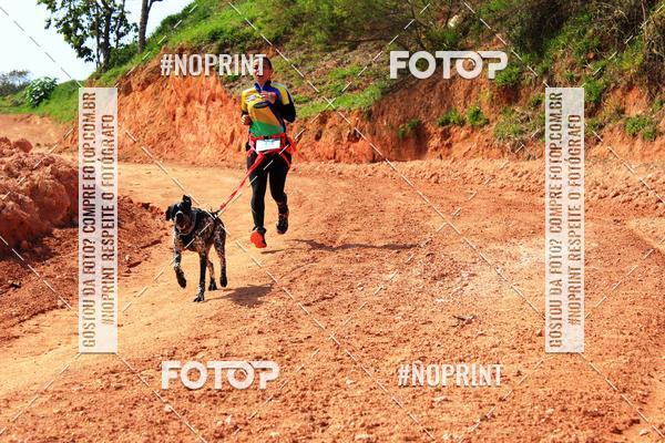 Compra tus fotos del eventoTreino Premiado de Canicross En Fotop