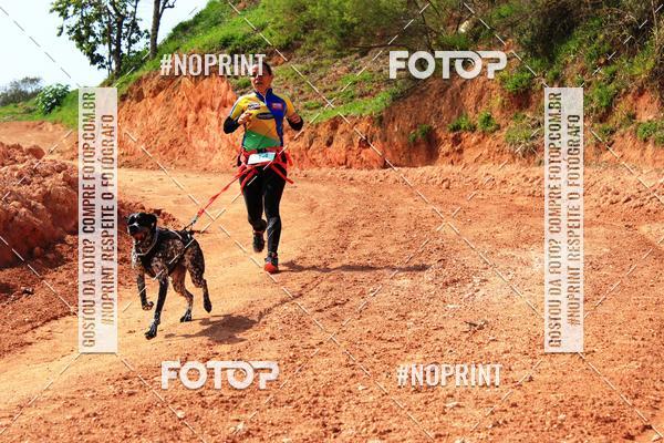 Compra tus fotos del eventoTreino Premiado de Canicross En Fotop